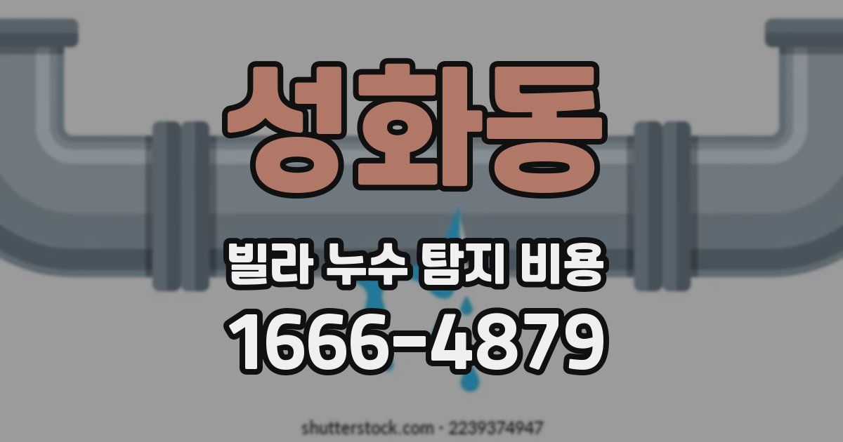 성화동 빌라 누수 탐지 비용