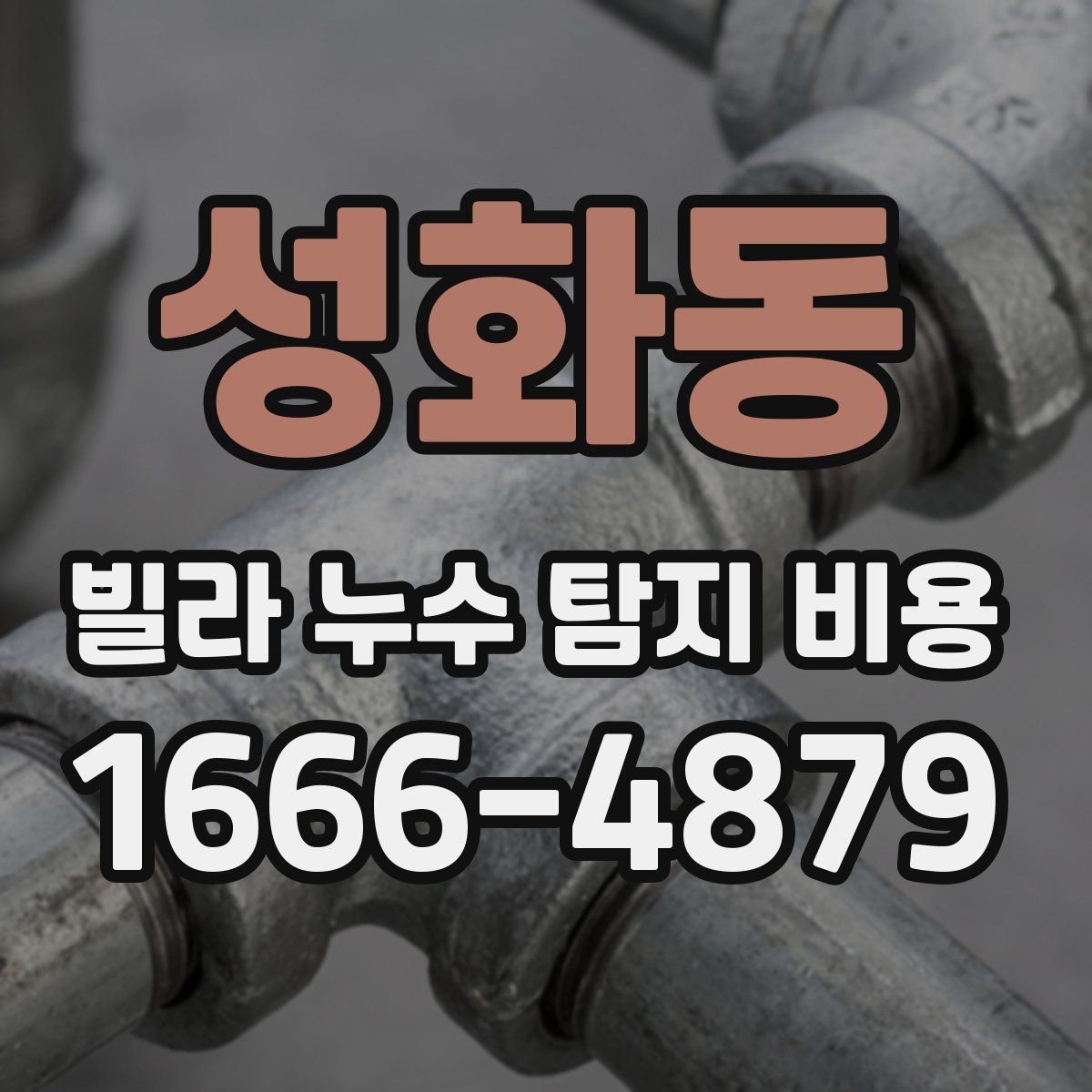 성화동 빌라 누수 탐지 비용