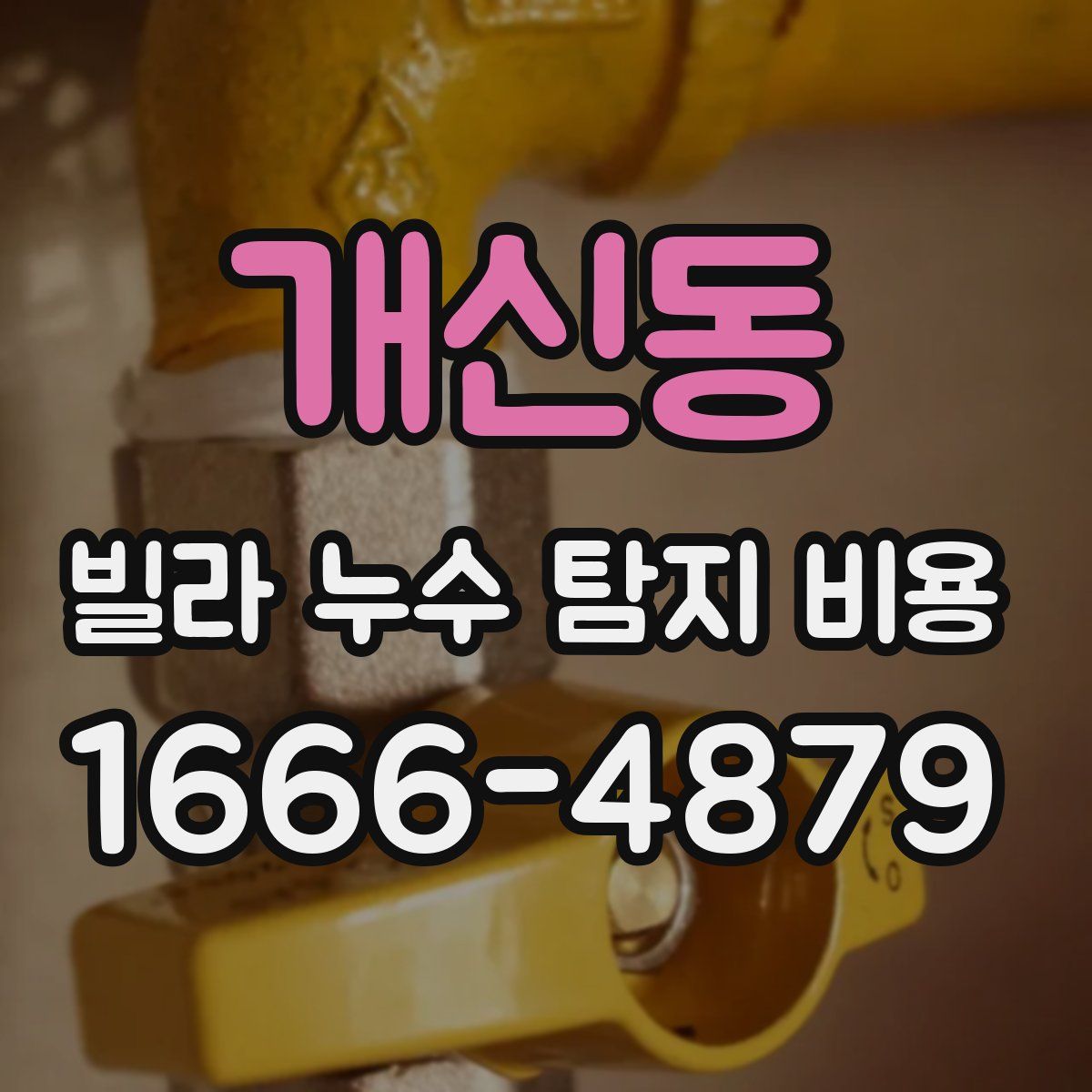 개신동 빌라 누수 탐지 비용