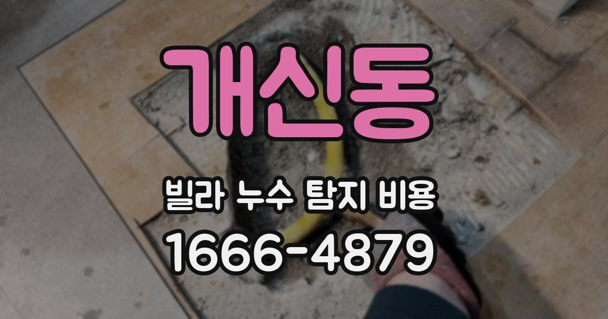 개신동 빌라 누수 탐지 비용