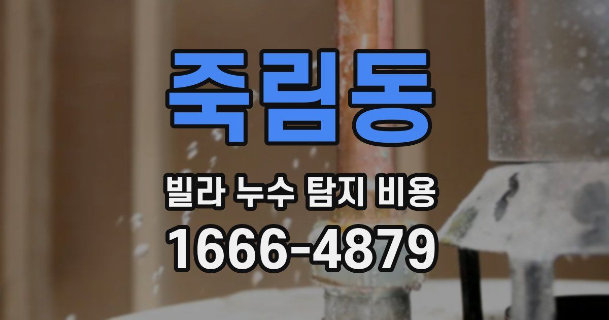 죽림동 빌라 누수 탐지 비용