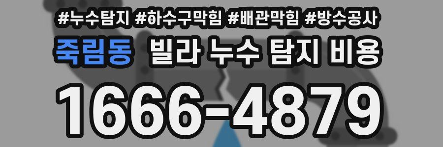 죽림동 빌라 누수 탐지 비용