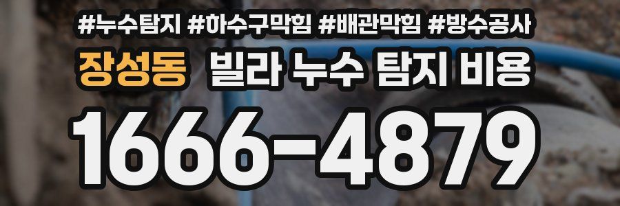 장성동 빌라 누수 탐지 비용