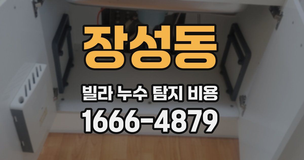 장성동 빌라 누수 탐지 비용
