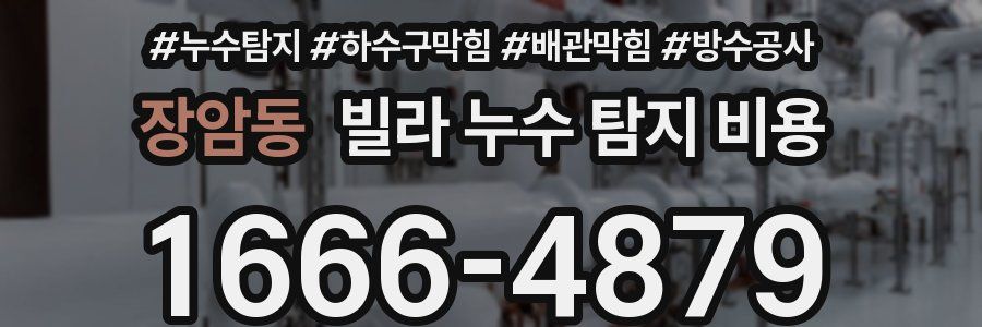 장암동 빌라 누수 탐지 비용