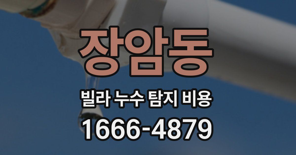 장암동 빌라 누수 탐지 비용