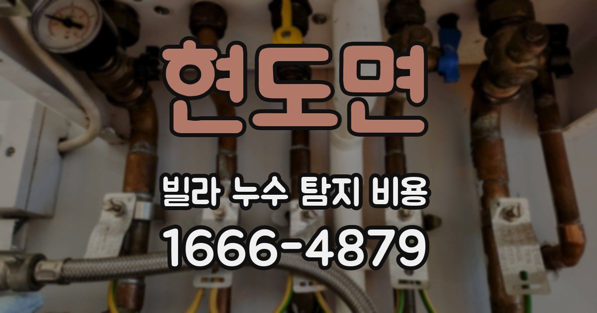 현도면 빌라 누수 탐지 비용