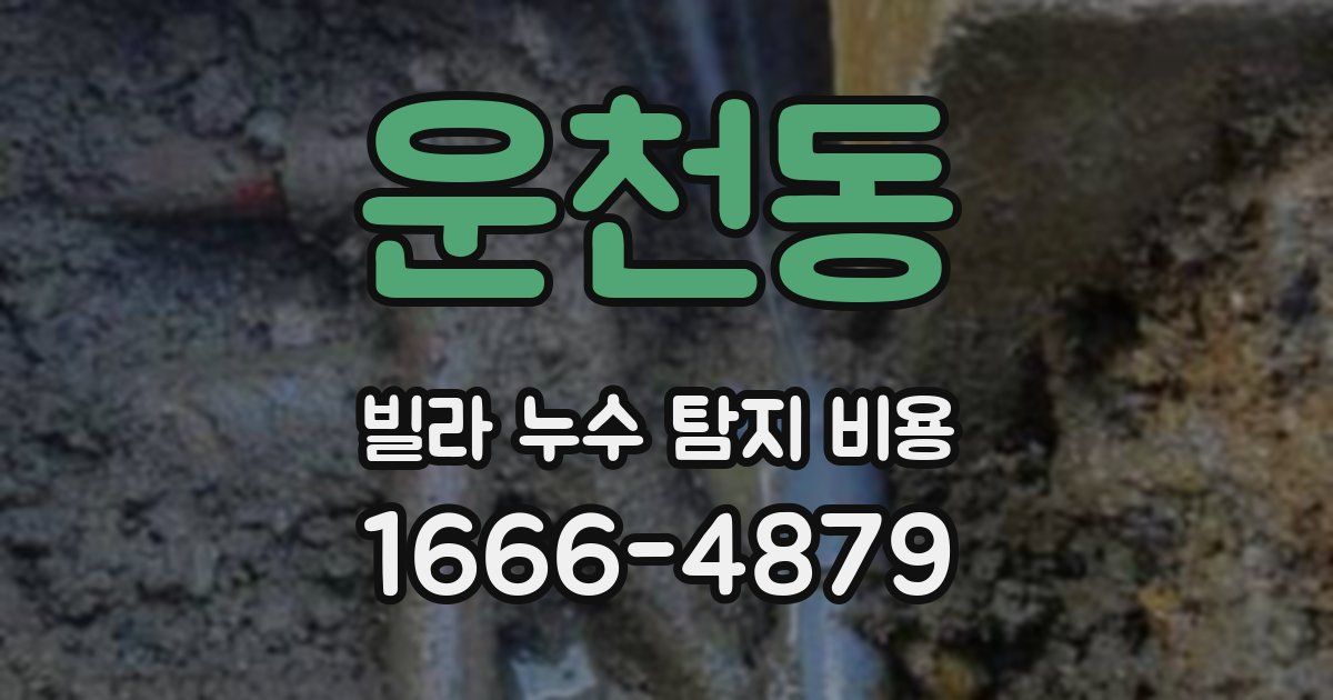 운천동 빌라 누수 탐지 비용