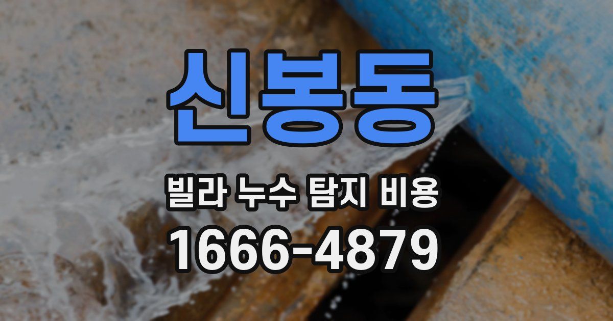 신봉동 빌라 누수 탐지 비용