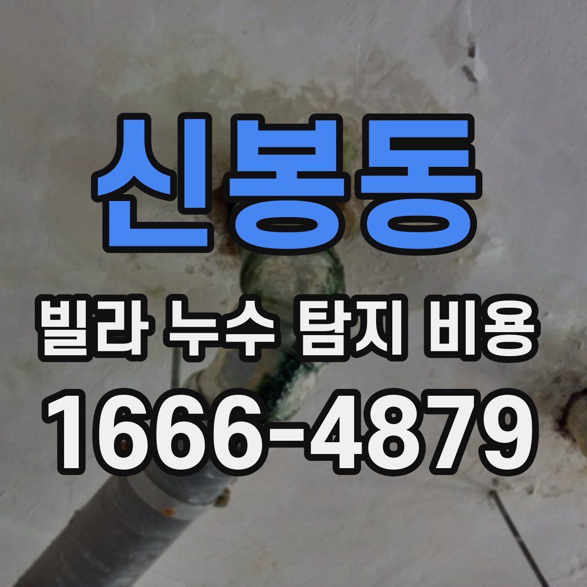 신봉동 빌라 누수 탐지 비용