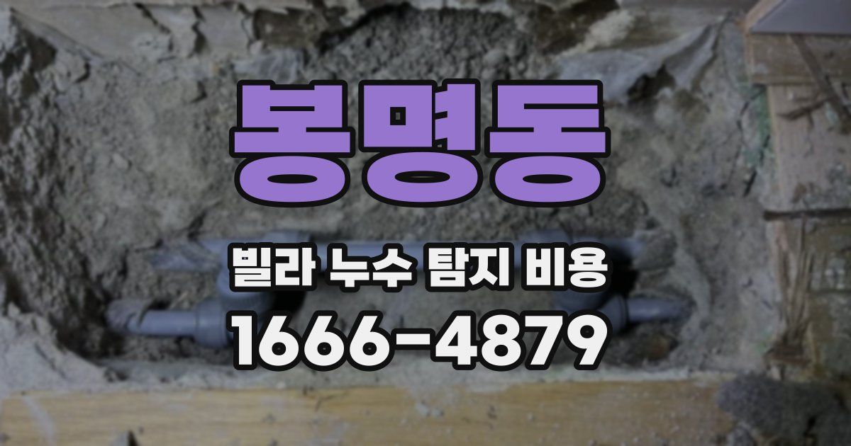 봉명동 빌라 누수 탐지 비용