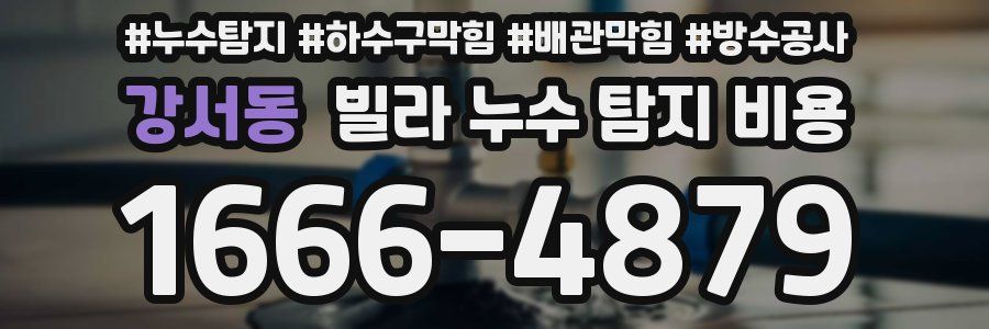 강서동 빌라 누수 탐지 비용