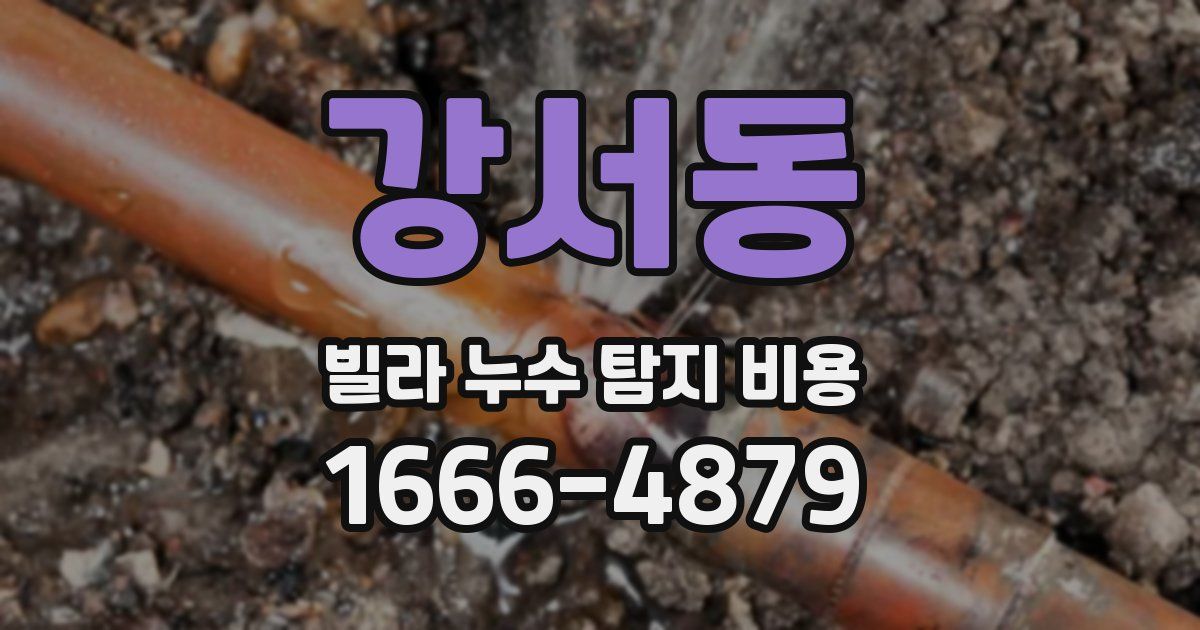 강서동 빌라 누수 탐지 비용