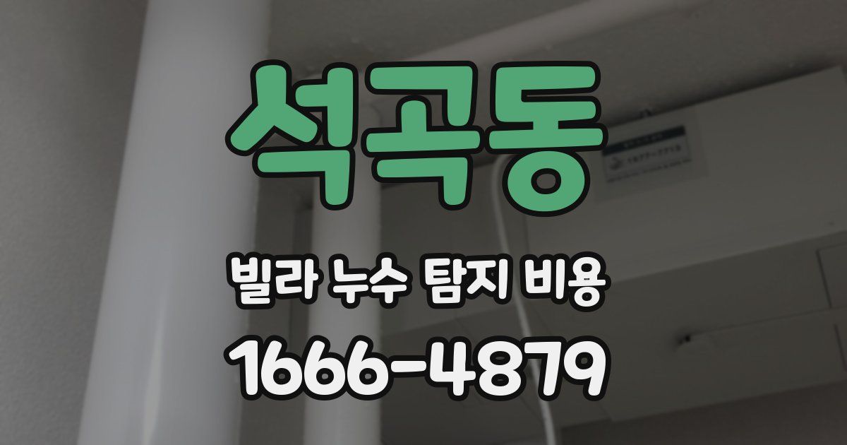 석곡동 빌라 누수 탐지 비용