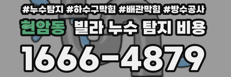 현암동 빌라 누수 탐지 비용