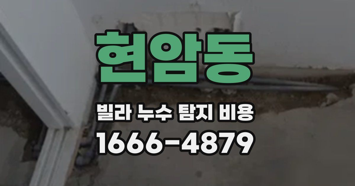 현암동 빌라 누수 탐지 비용