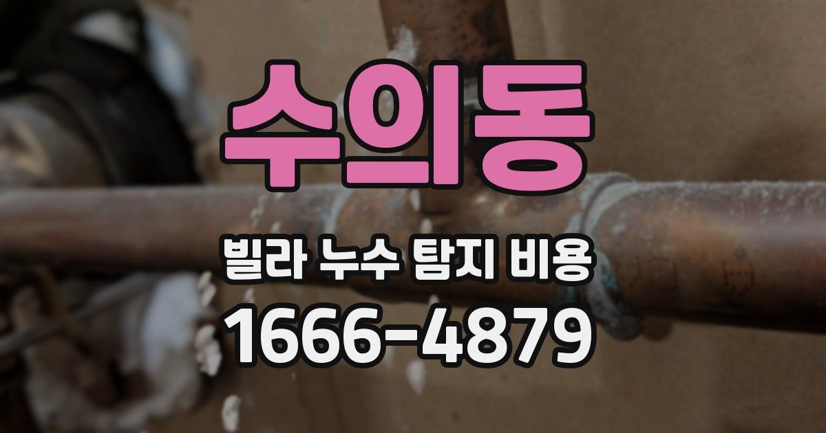수의동 빌라 누수 탐지 비용