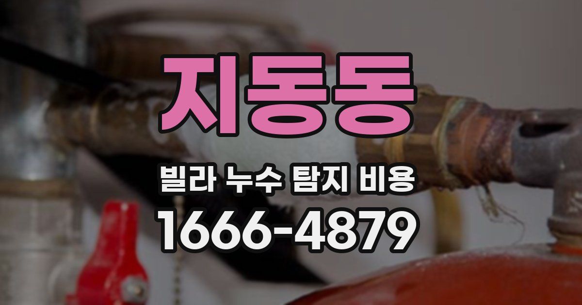 지동동 빌라 누수 탐지 비용