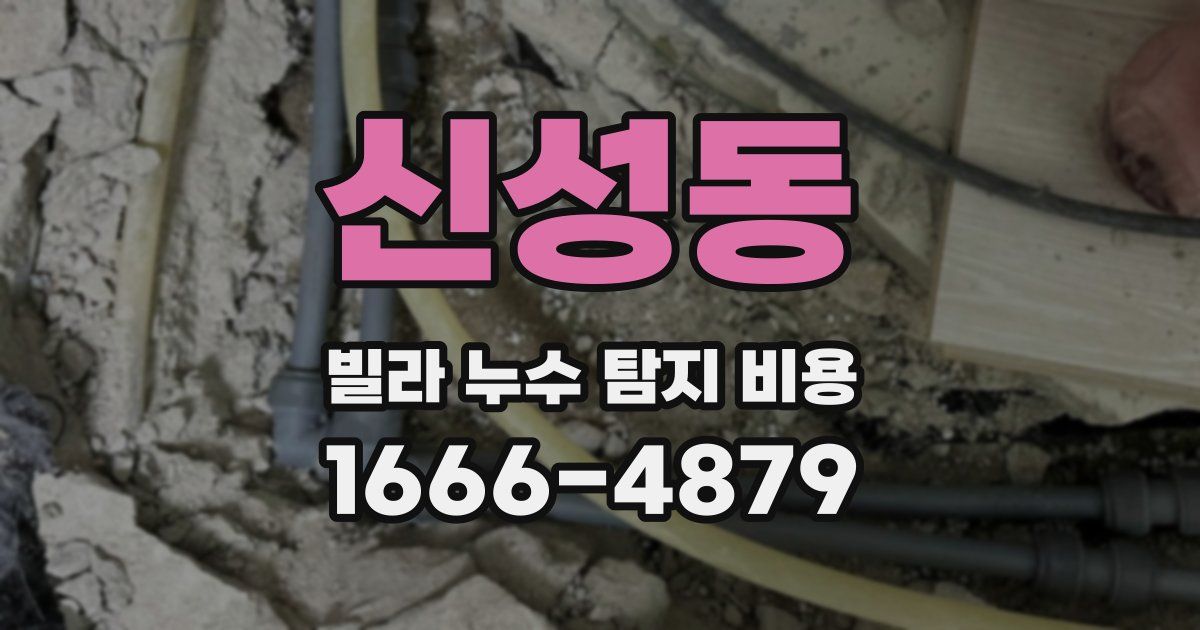신성동 빌라 누수 탐지 비용