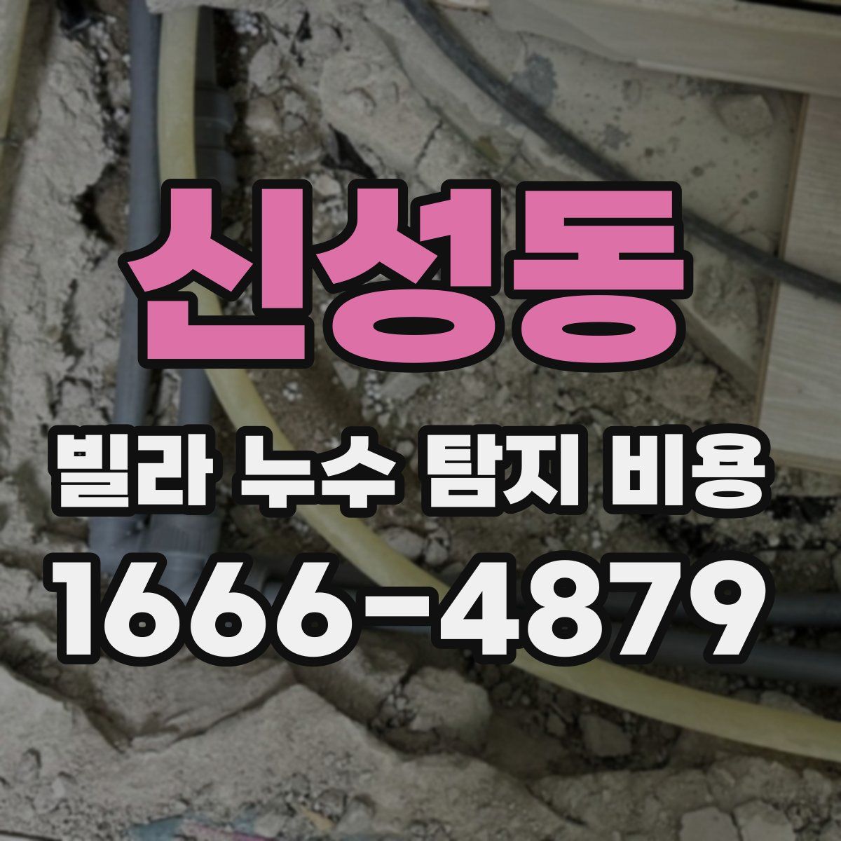 신성동 빌라 누수 탐지 비용