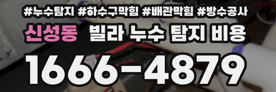 신성동 빌라 누수 탐지 비용