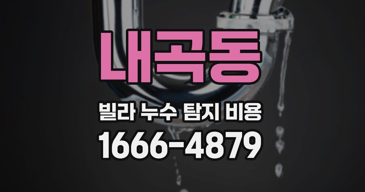 내곡동 빌라 누수 탐지 비용