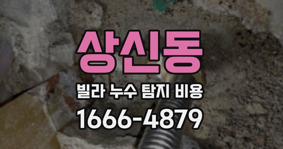 상신동 빌라 누수 탐지 비용