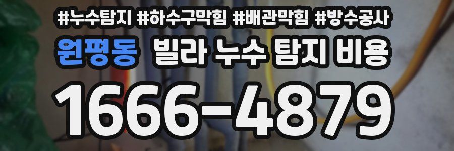 원평동 빌라 누수 탐지 비용