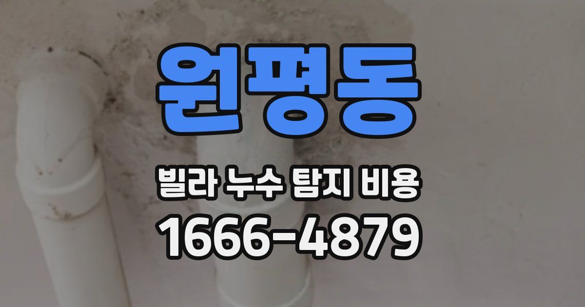 원평동 빌라 누수 탐지 비용