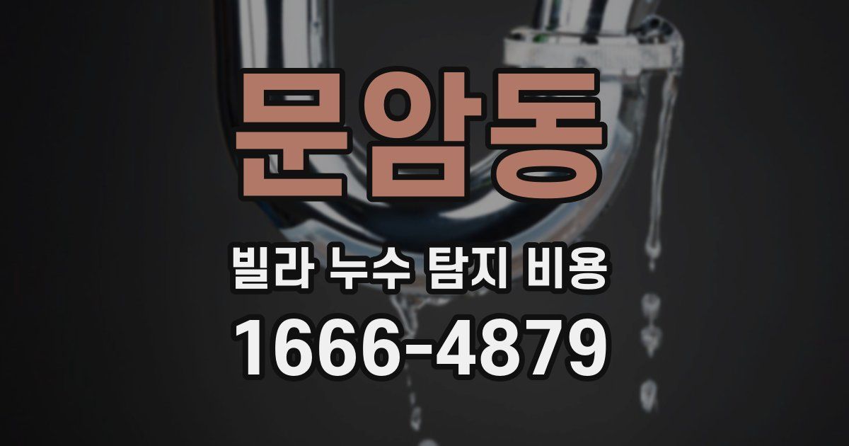 문암동 빌라 누수 탐지 비용
