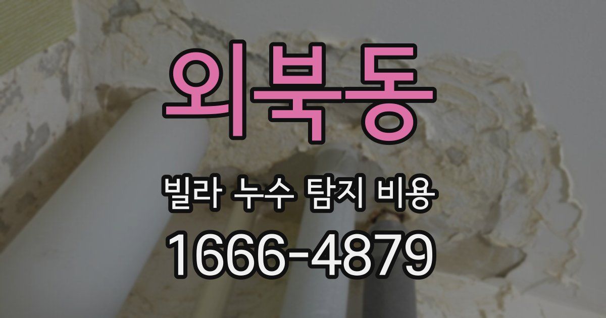 외북동 빌라 누수 탐지 비용
