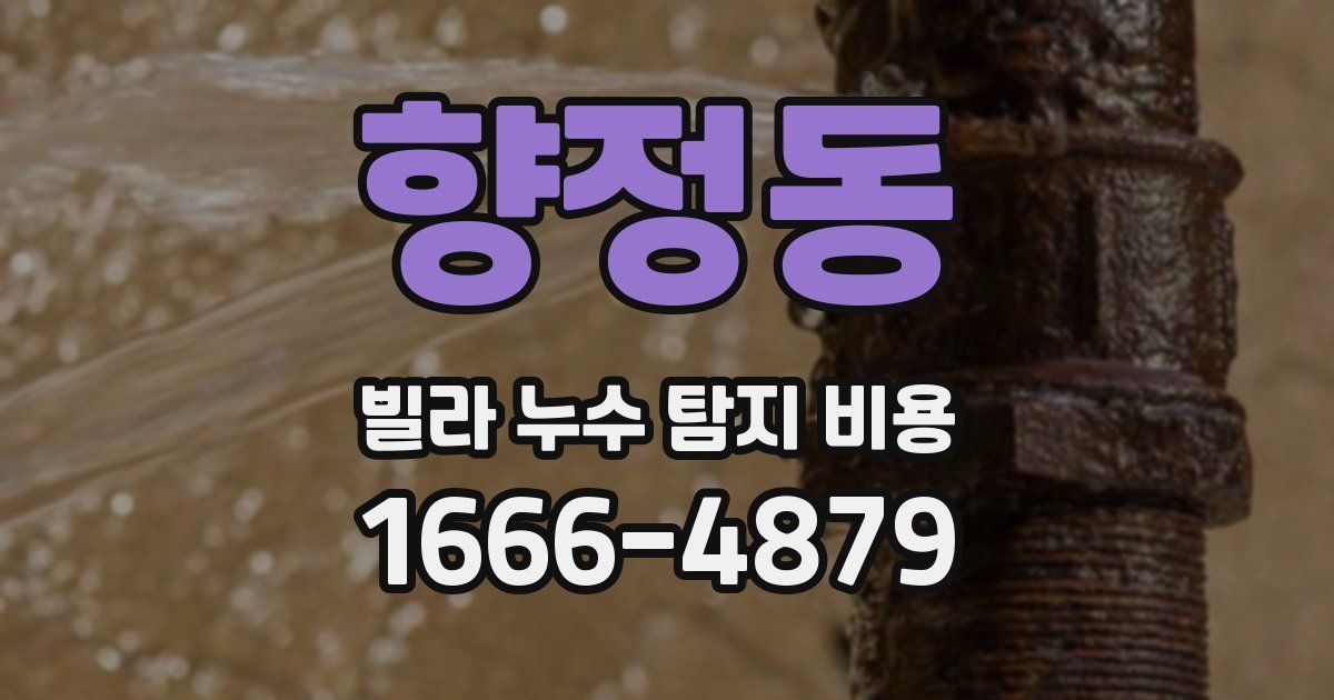 향정동 빌라 누수 탐지 비용