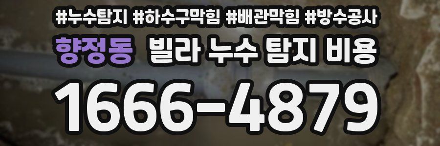 향정동 빌라 누수 탐지 비용