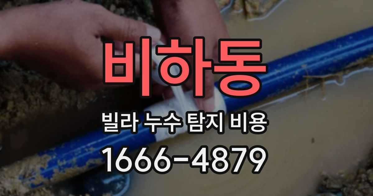 비하동 빌라 누수 탐지 비용