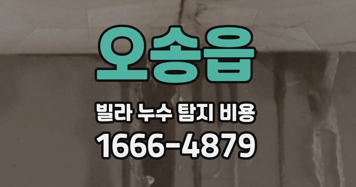 오송읍 빌라 누수 탐지 비용