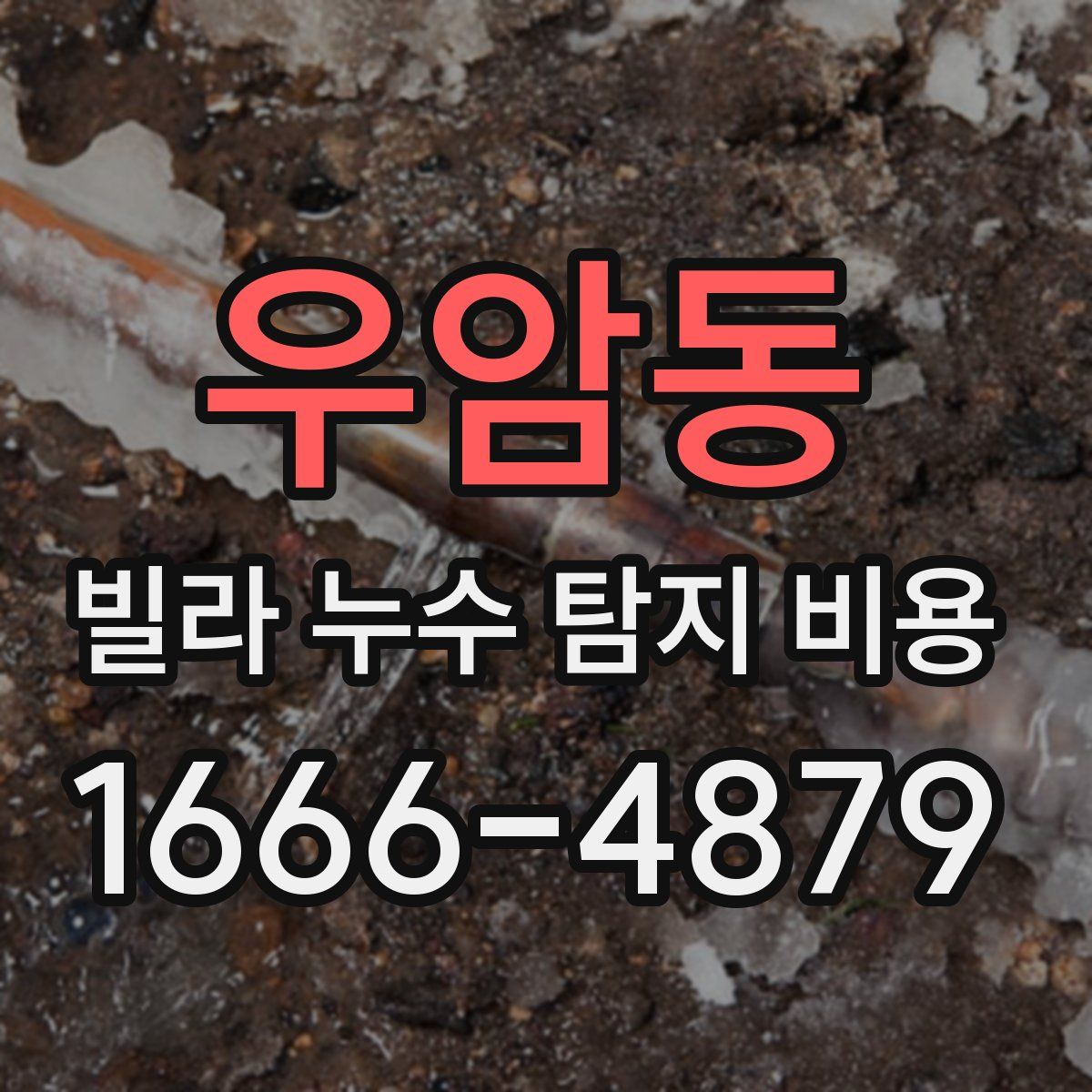 우암동 빌라 누수 탐지 비용