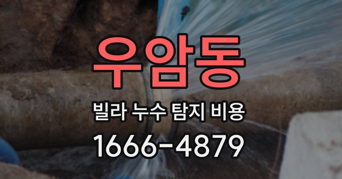 우암동 빌라 누수 탐지 비용
