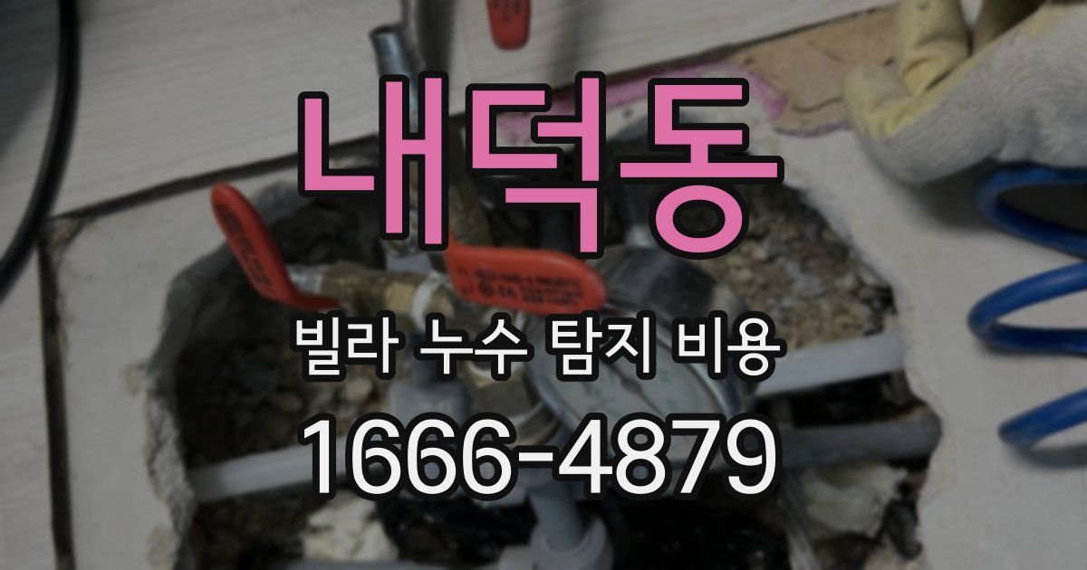 내덕동 빌라 누수 탐지 비용