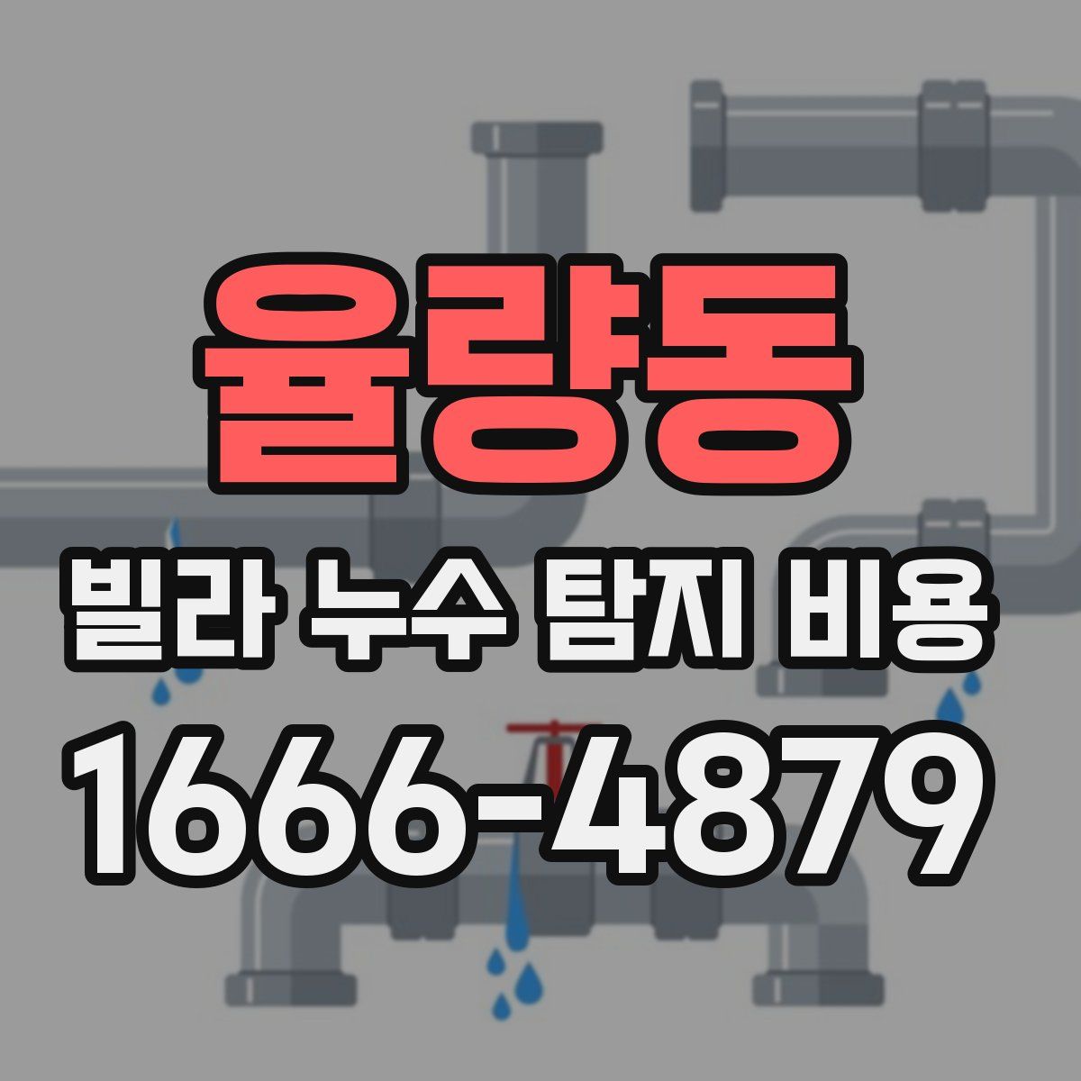 율량동 빌라 누수 탐지 비용