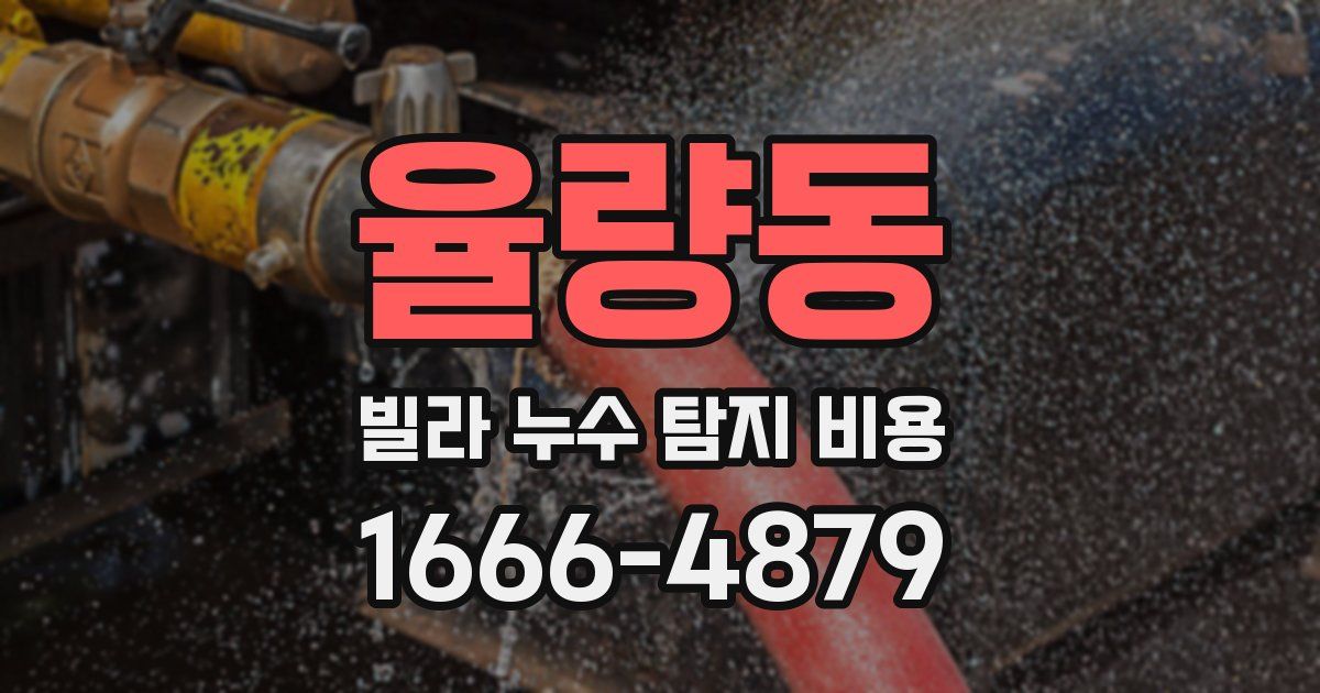 율량동 빌라 누수 탐지 비용