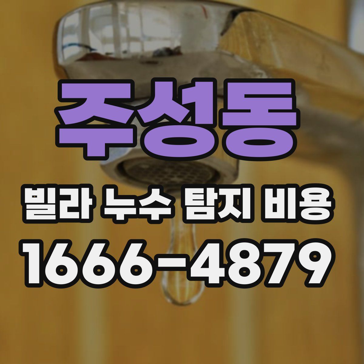 주성동 빌라 누수 탐지 비용
