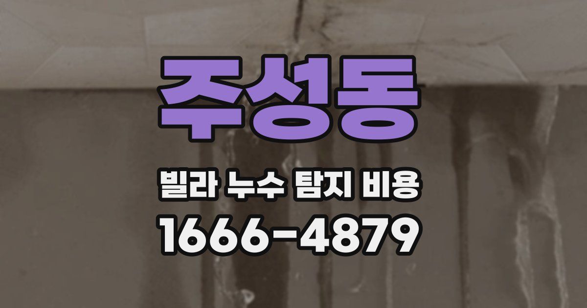 주성동 빌라 누수 탐지 비용