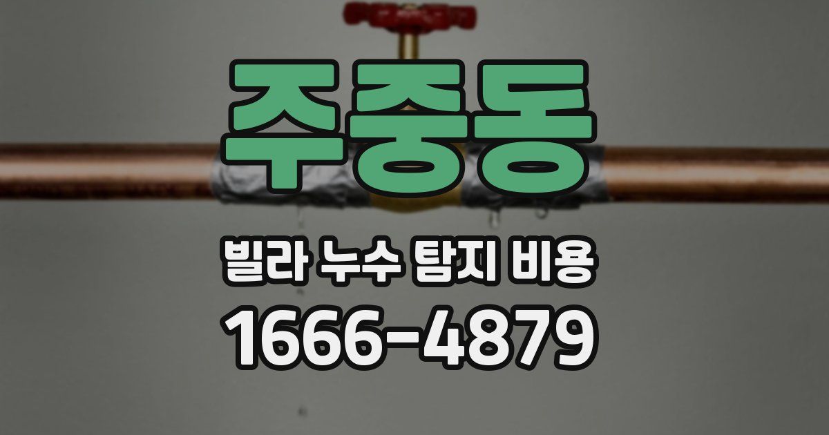주중동 빌라 누수 탐지 비용