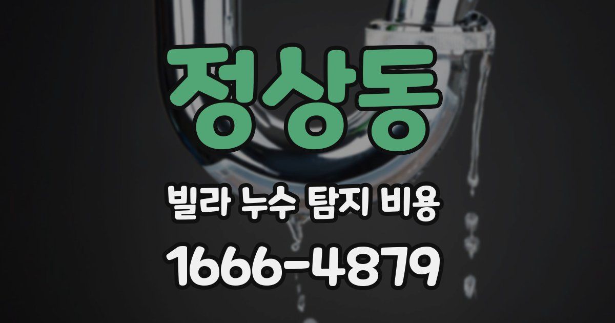 정상동 빌라 누수 탐지 비용