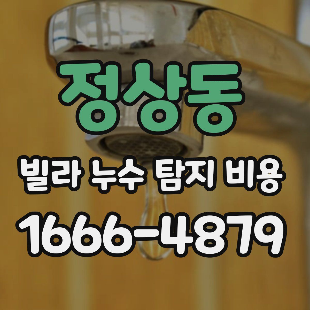 정상동 빌라 누수 탐지 비용