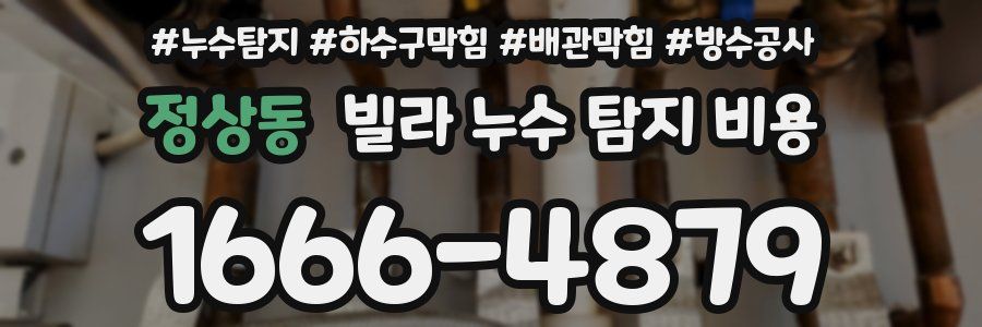 정상동 빌라 누수 탐지 비용