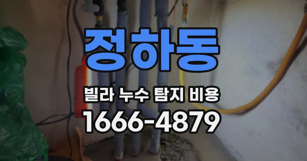 정하동 빌라 누수 탐지 비용