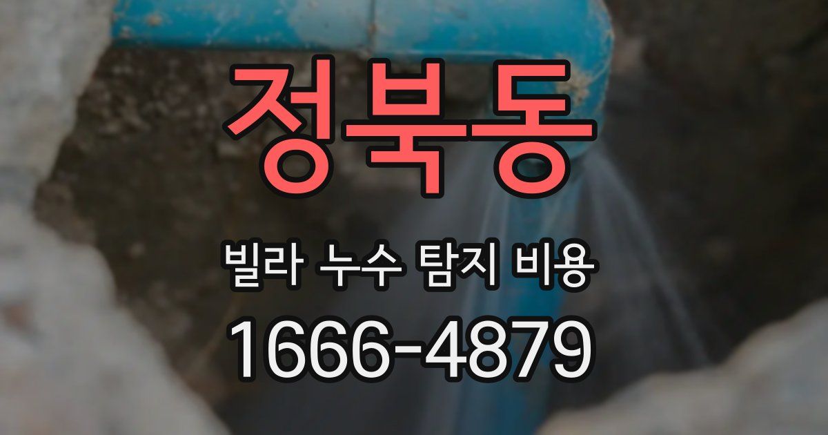 정북동 빌라 누수 탐지 비용