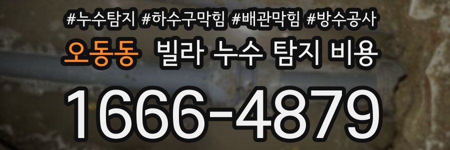 오동동 빌라 누수 탐지 비용