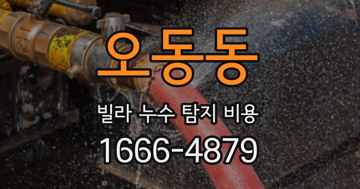 오동동 빌라 누수 탐지 비용